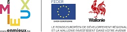 logo feder wallonie 2017